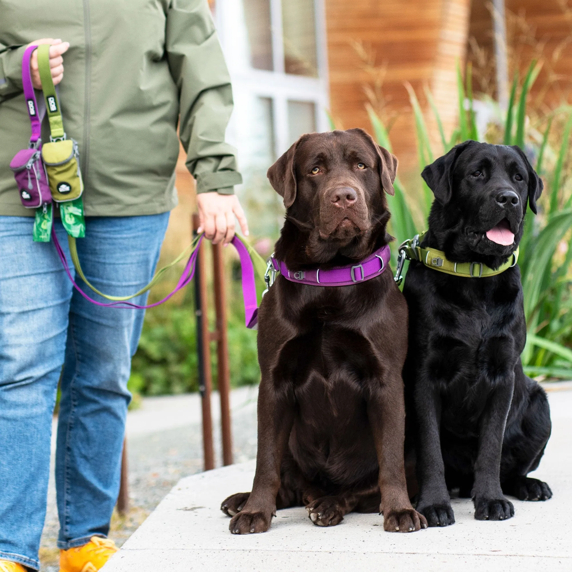 DOG Copenhagen - Urban Explorer Collar *Black Friday Offer*