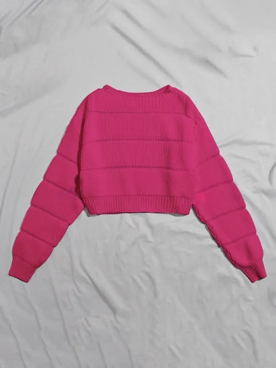 Parien Ribbed Knit Solid Crop Sweater