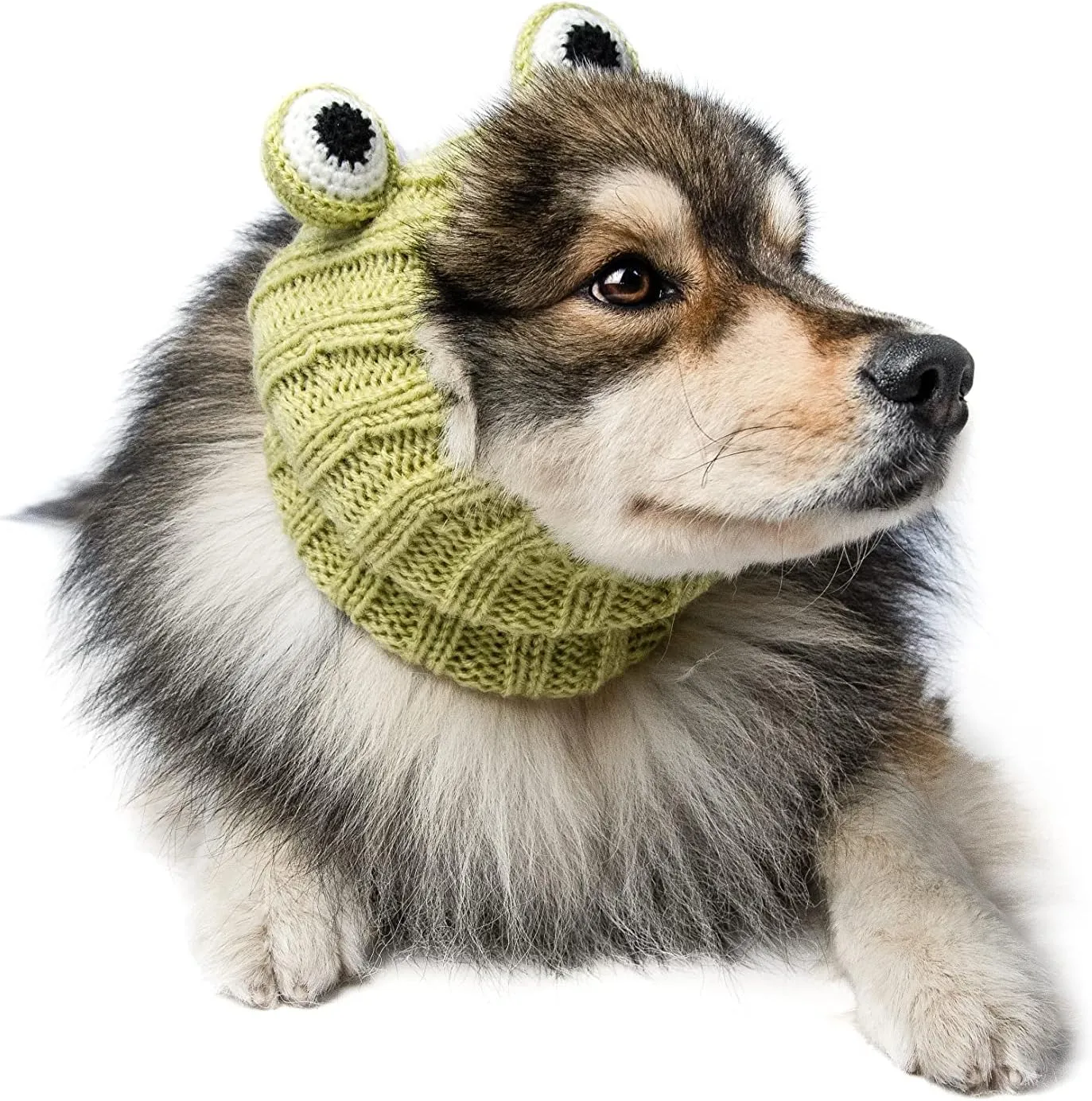 Zoo Snoods Frog Costume for Dogs & Cats Halloween Medium No Flap